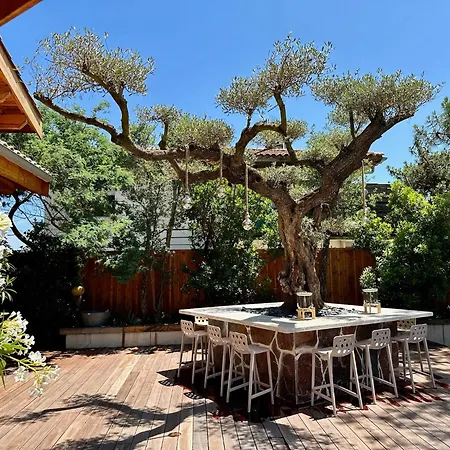 Villa Horizon Cap Ferret *