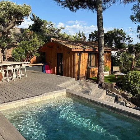 Horizon Cap Ferret Villa *